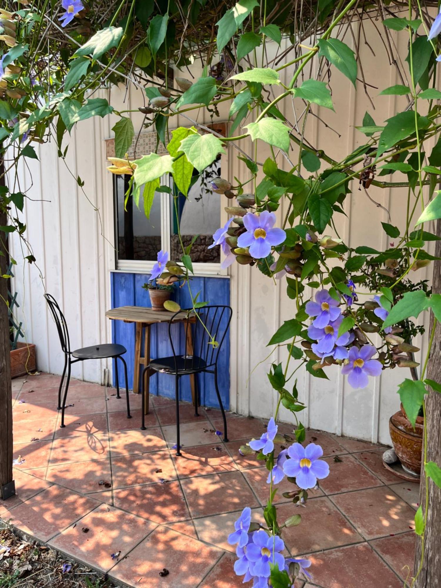 Giardino Di Sicilia Guest House SantʼAgata di Militello Екстериор снимка