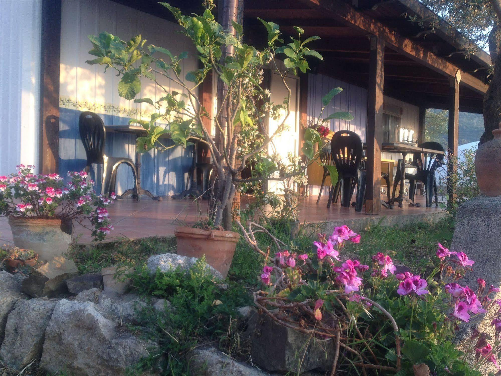 Giardino Di Sicilia Guest House SantʼAgata di Militello Екстериор снимка