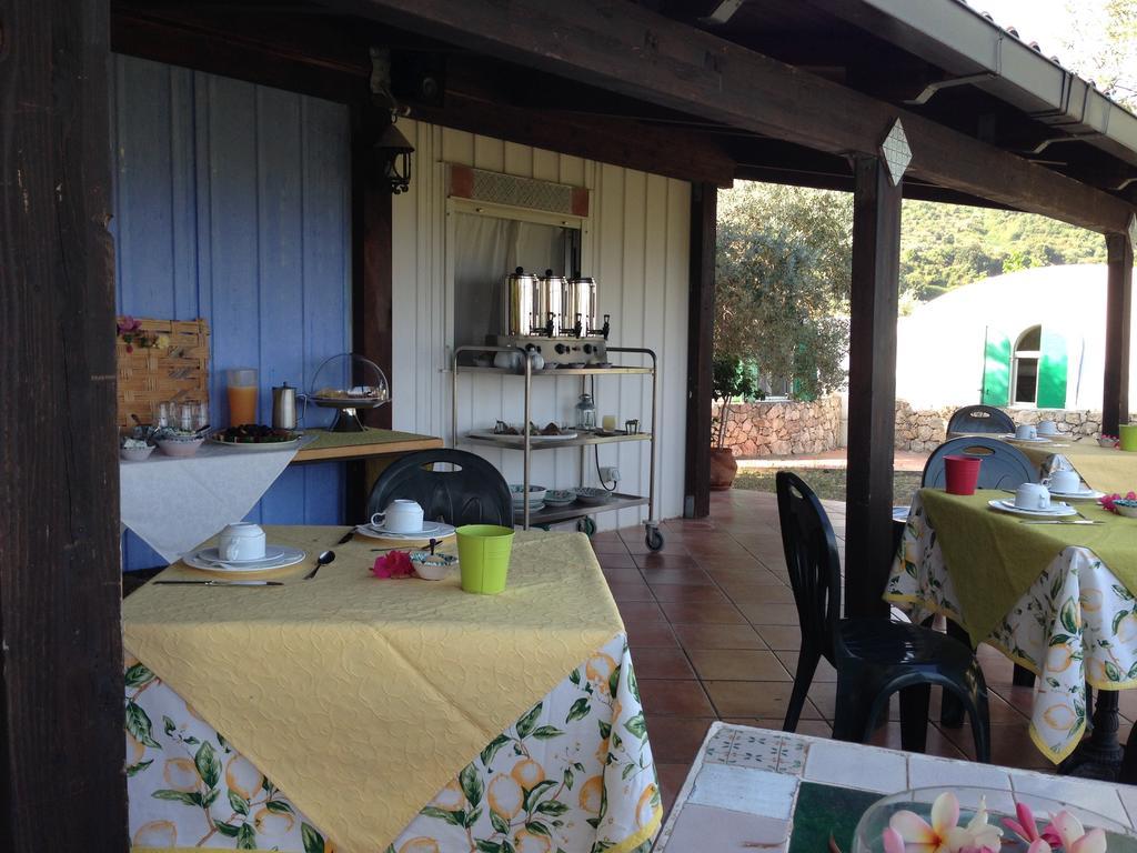 Giardino Di Sicilia Guest House SantʼAgata di Militello Екстериор снимка