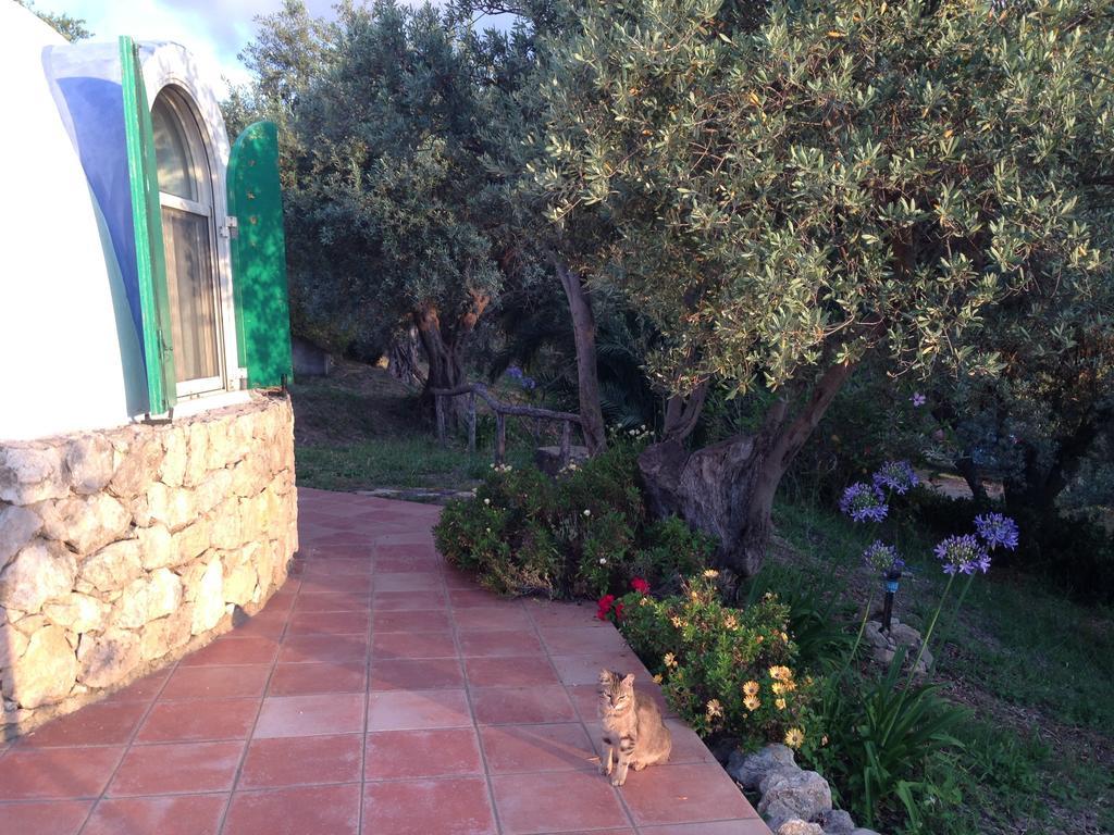 Giardino Di Sicilia Guest House SantʼAgata di Militello Екстериор снимка